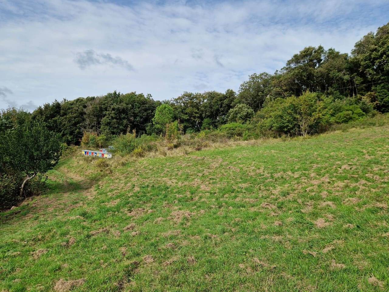 immagine annuncio 12 di 15