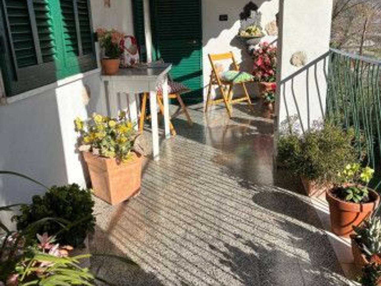 immagine annuncio 10 di 12