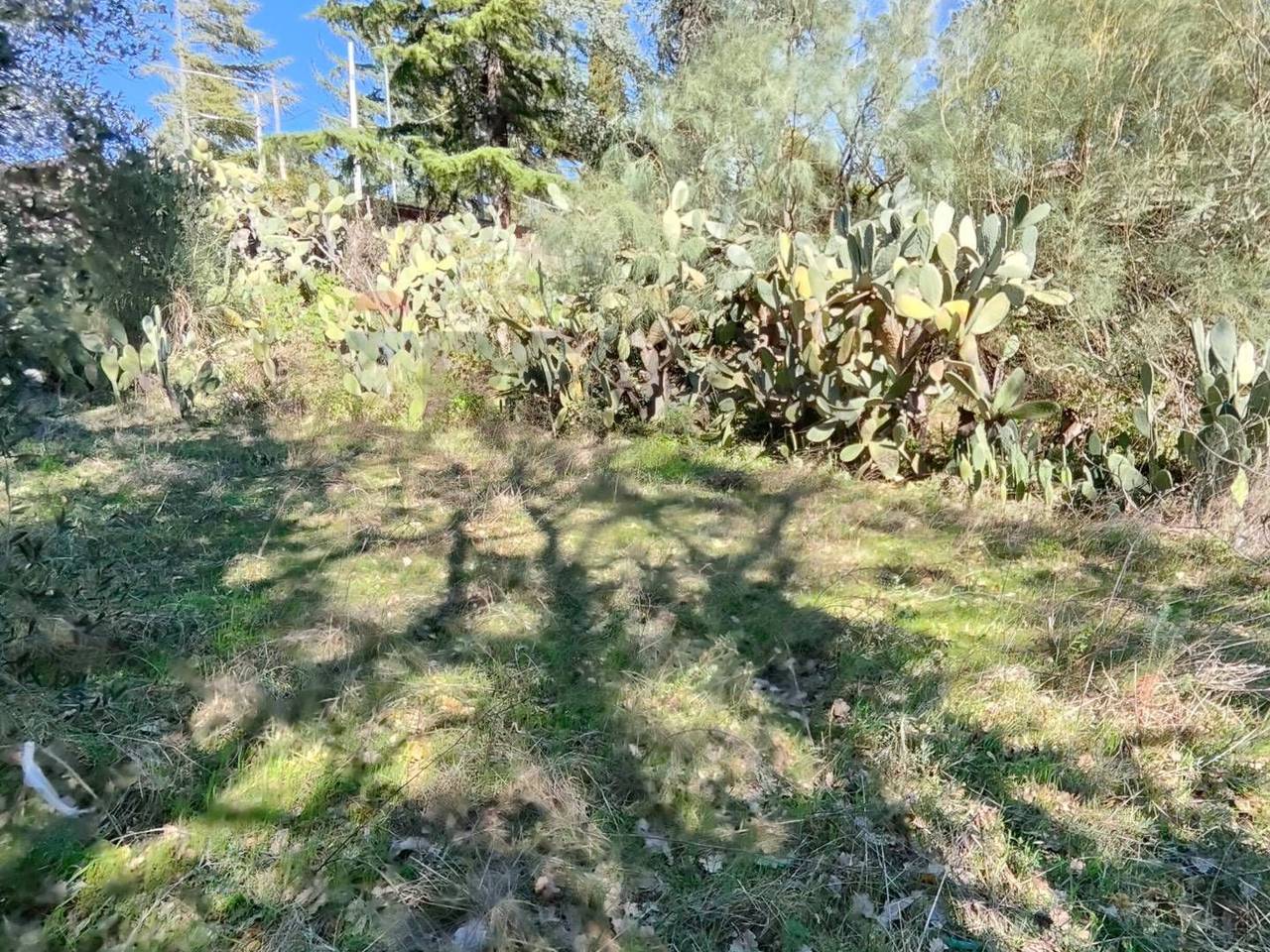 immagine annuncio 5 di 14