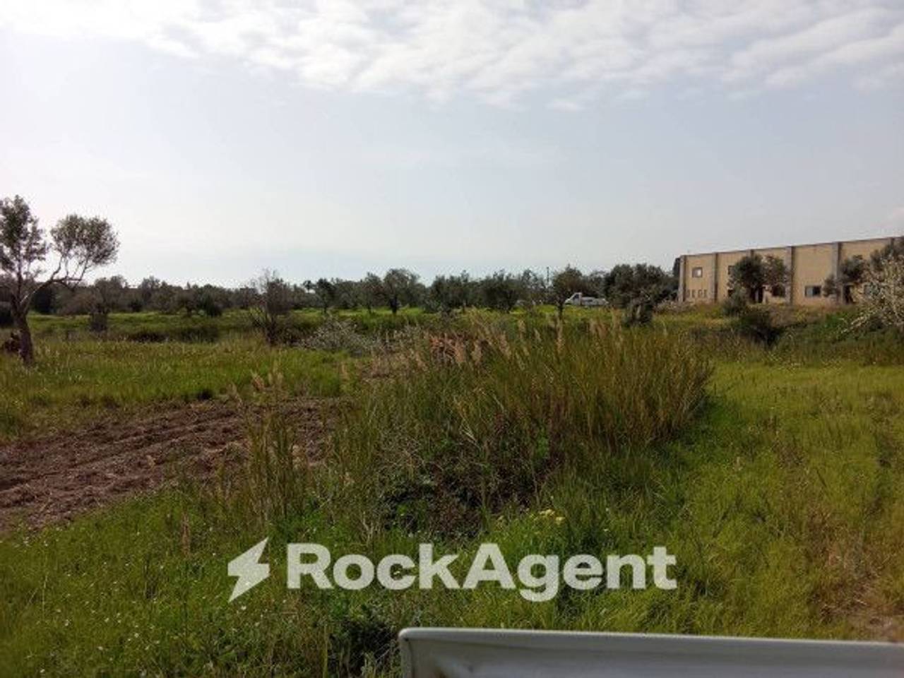 immagine annuncio 4 di 12