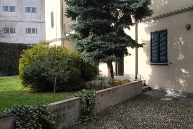 insertion image