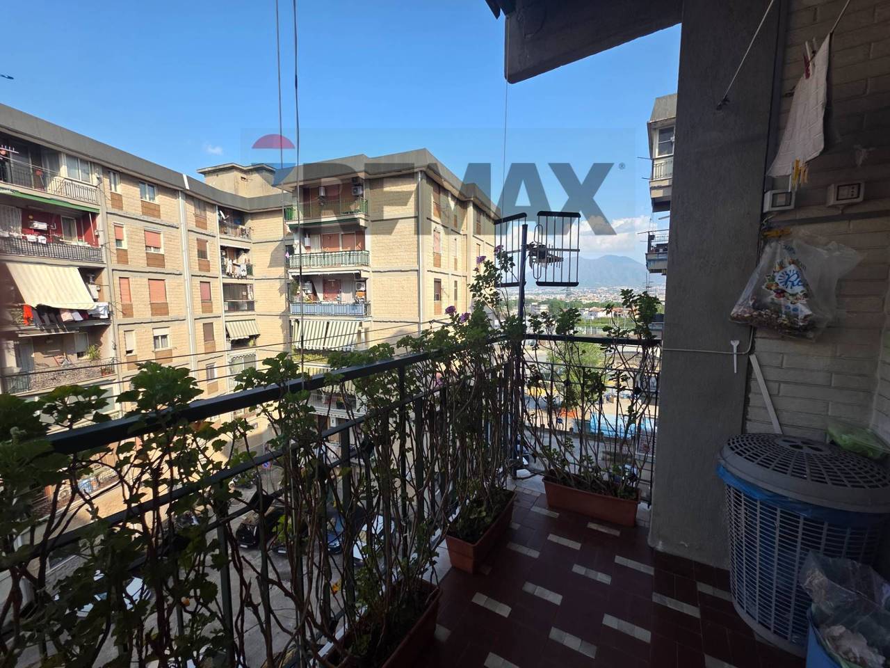 immagine annuncio 5 di 7