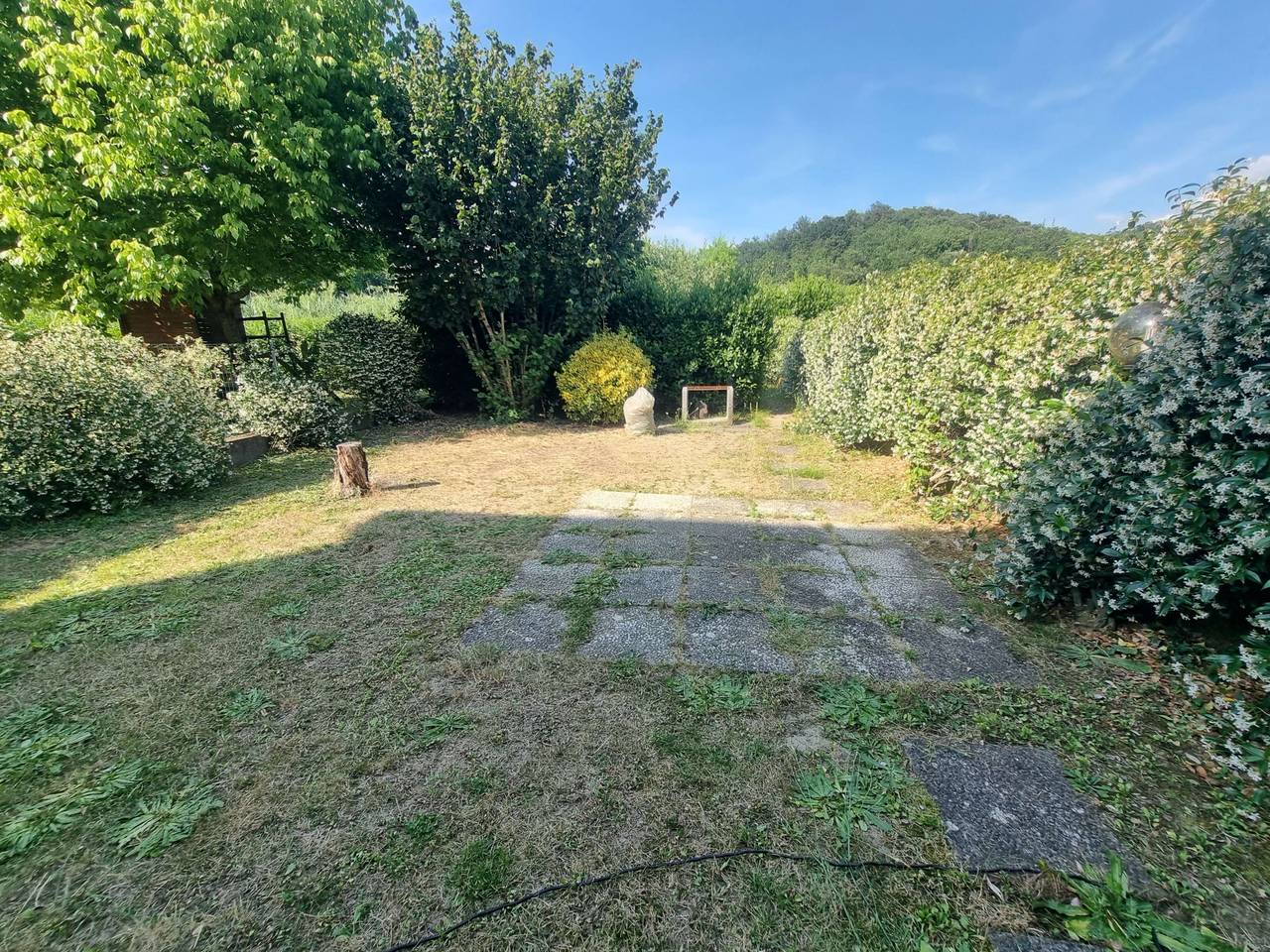 immagine annuncio 8 di 14