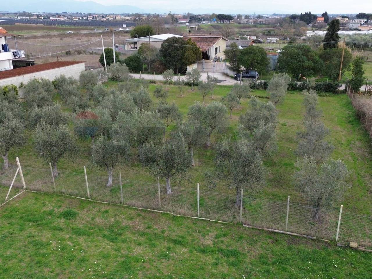 immagine annuncio 1 di 7