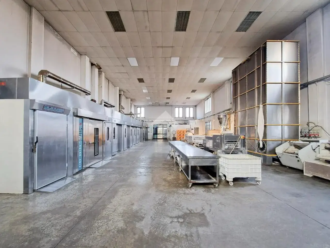 Laboratorio in Via Dante Alighieri 227, Castagnaro, {3} - Foto 1
