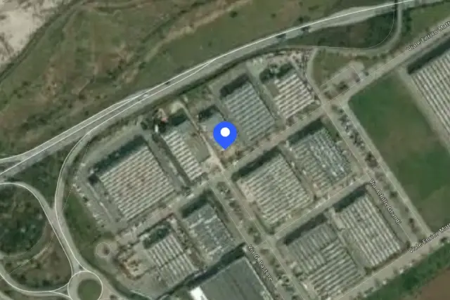 insertion image