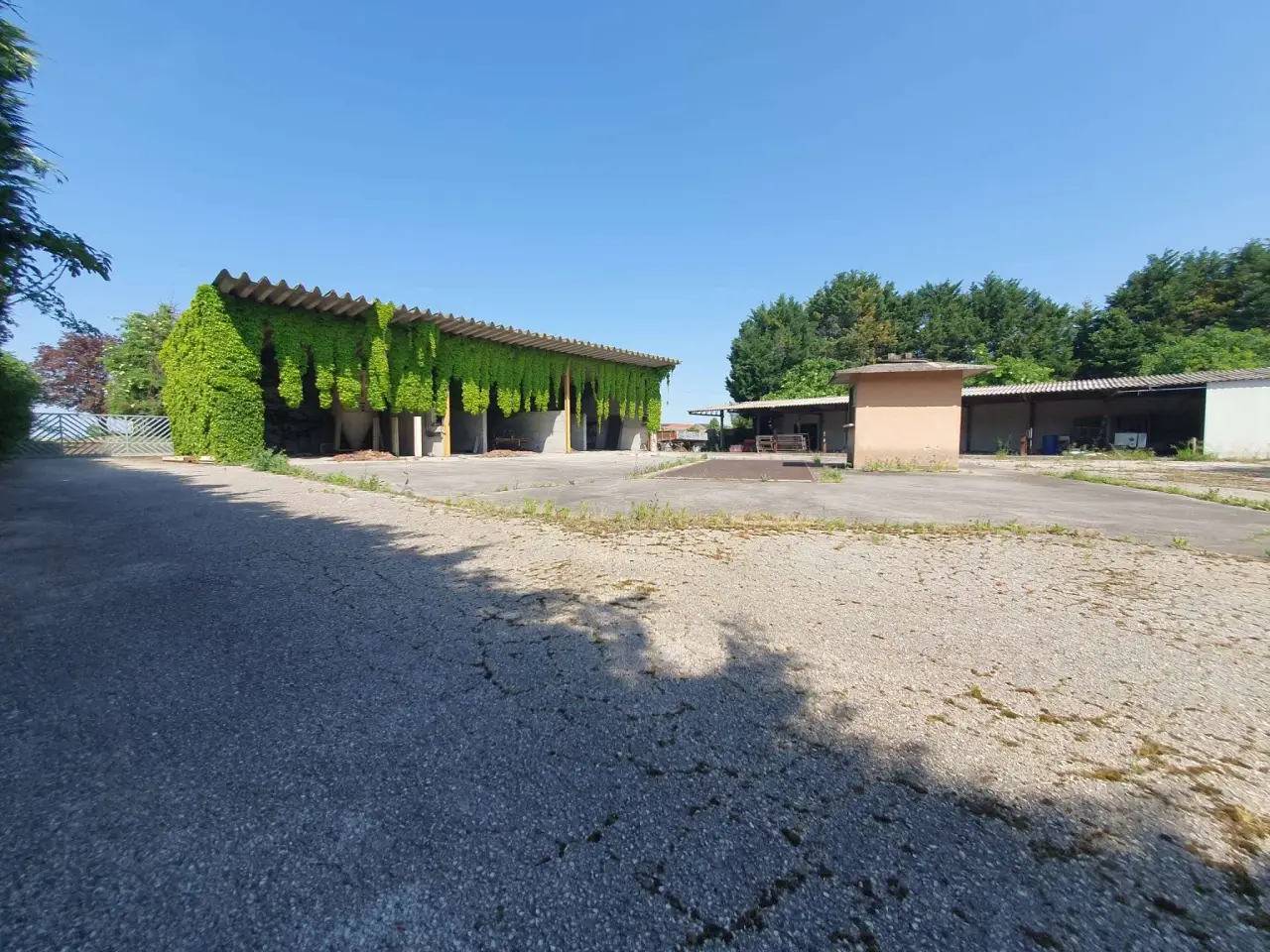 Locale commerciale in , Pernumia, {3} - Foto 1