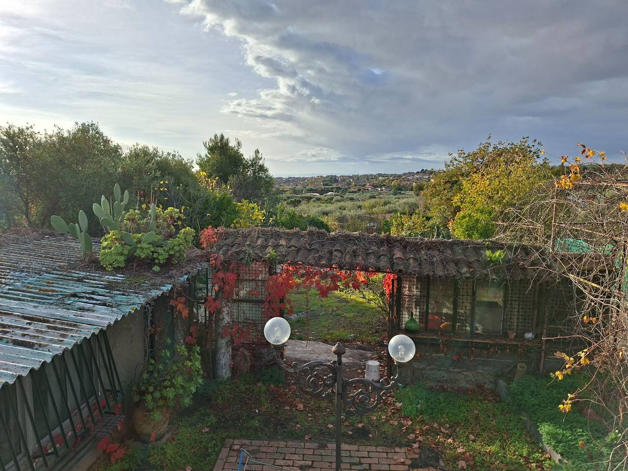 immagine annuncio 6 di 11