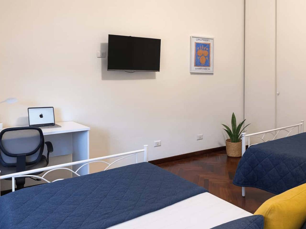 immagine annuncio 1 di 14