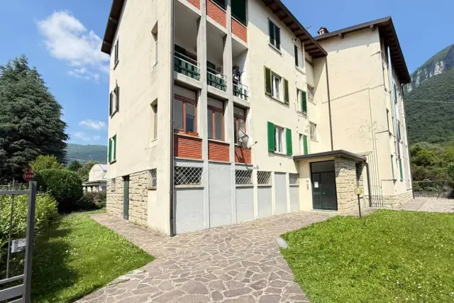 insertion image