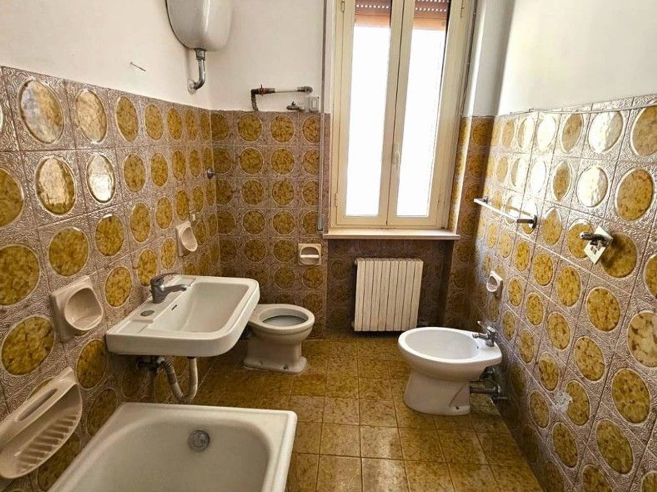 immagine annuncio 12 di 14