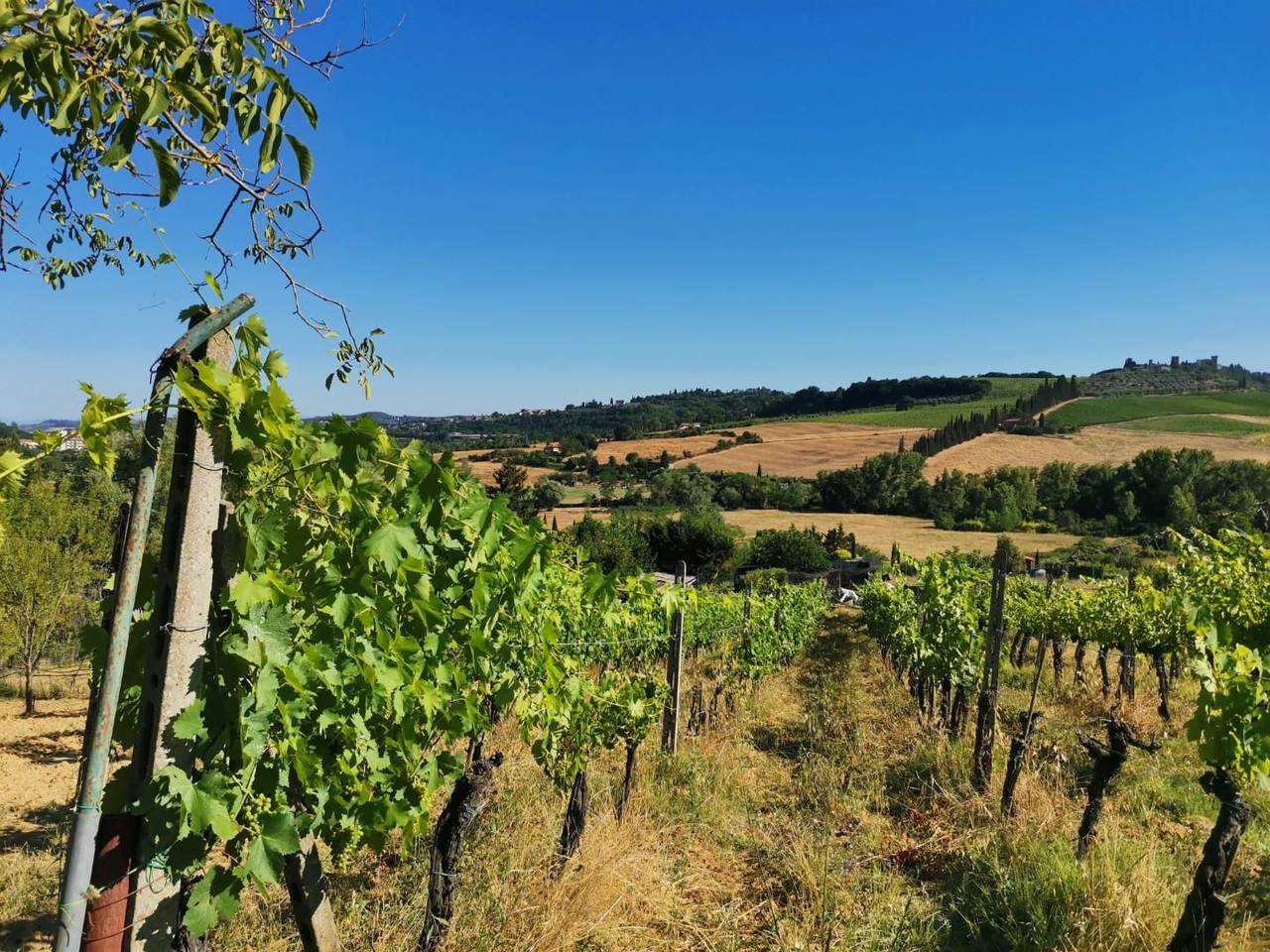 immagine annuncio 6 di 14