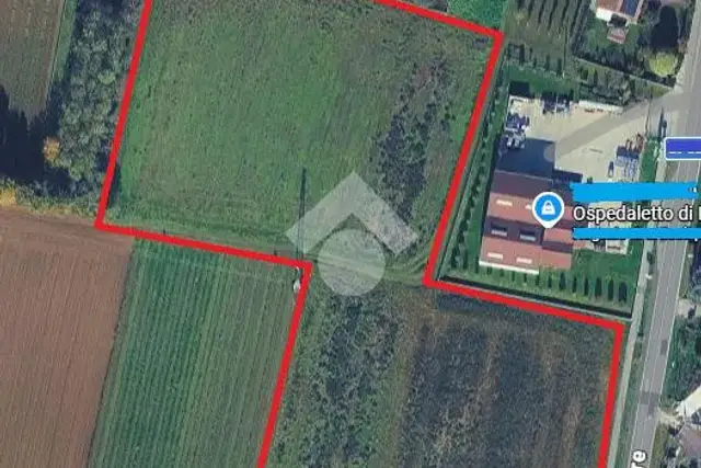 insertion image