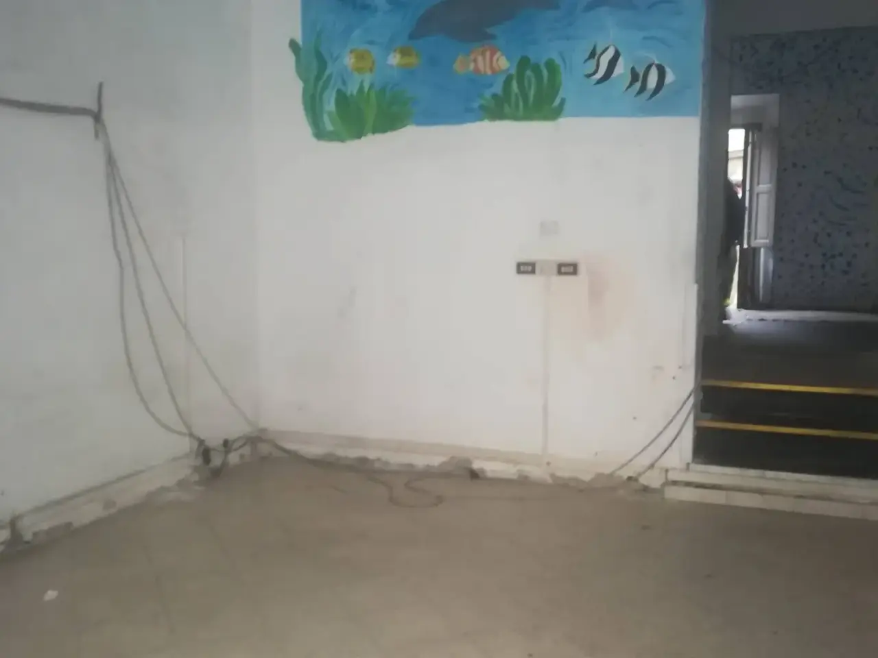 Esercizio commerciale in Corso Giuseppe Mazzini 105, Livorno, {3} - Foto 1