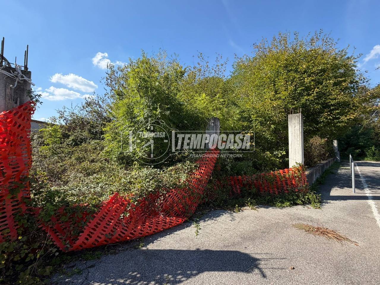 immagine annuncio 9 di 12