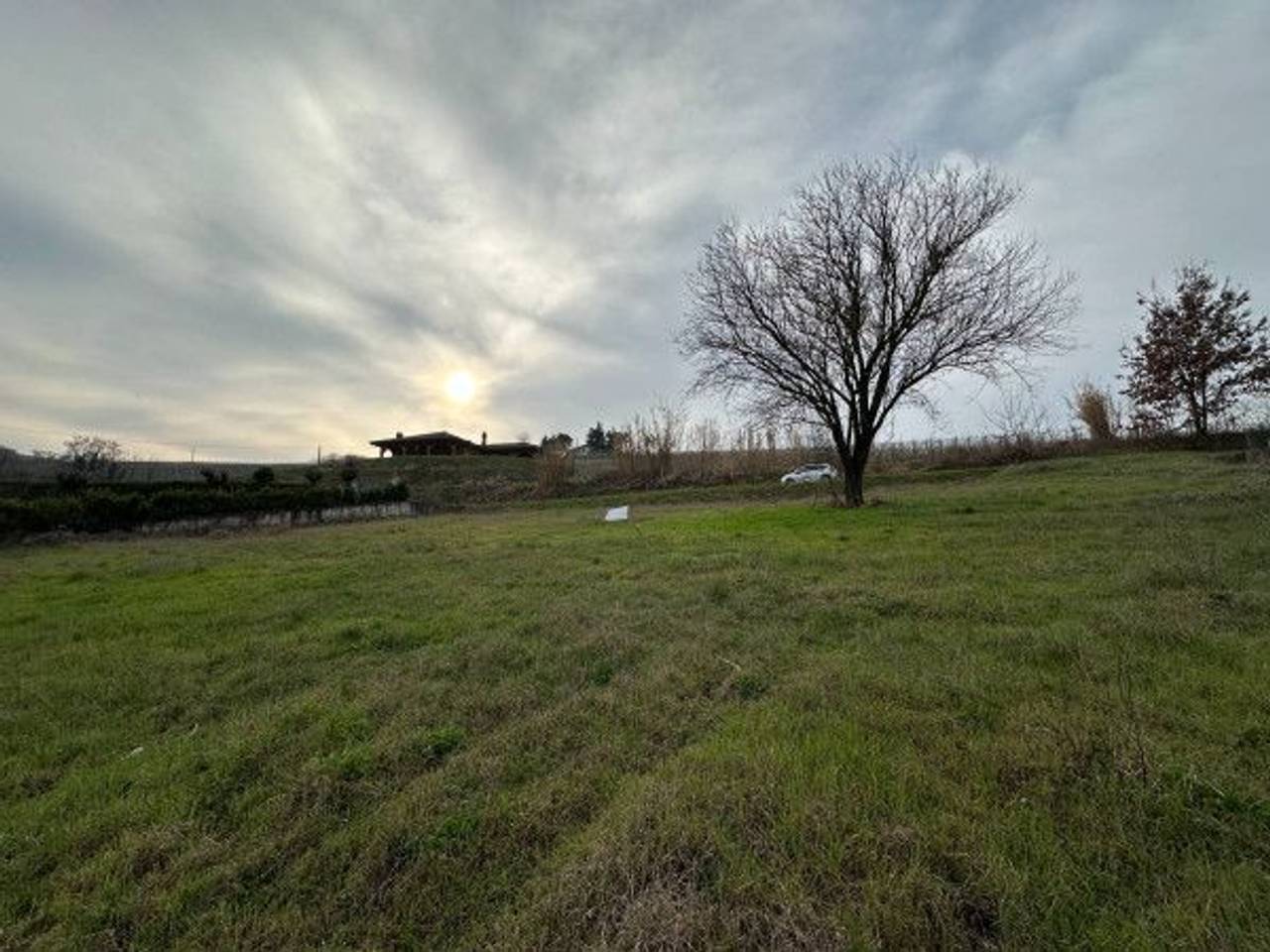 immagine annuncio 6 di 13