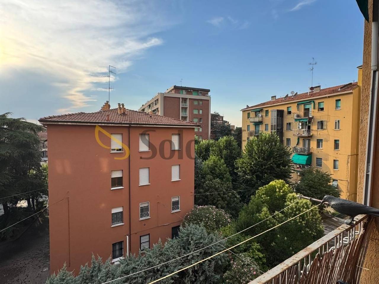 immagine annuncio 3 di 8