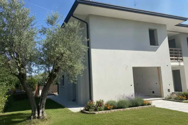 insertion image