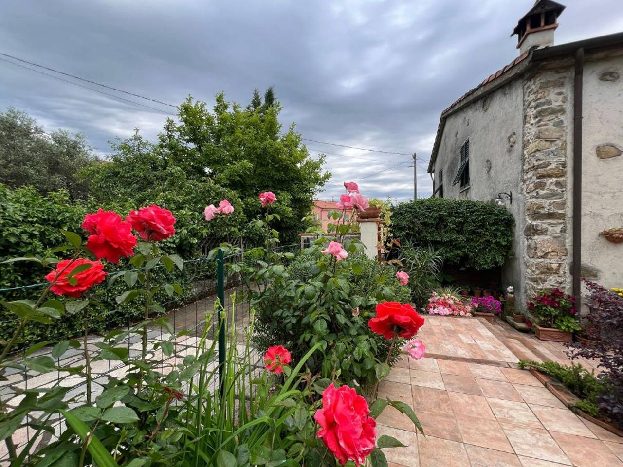 immagine annuncio 7 di 15