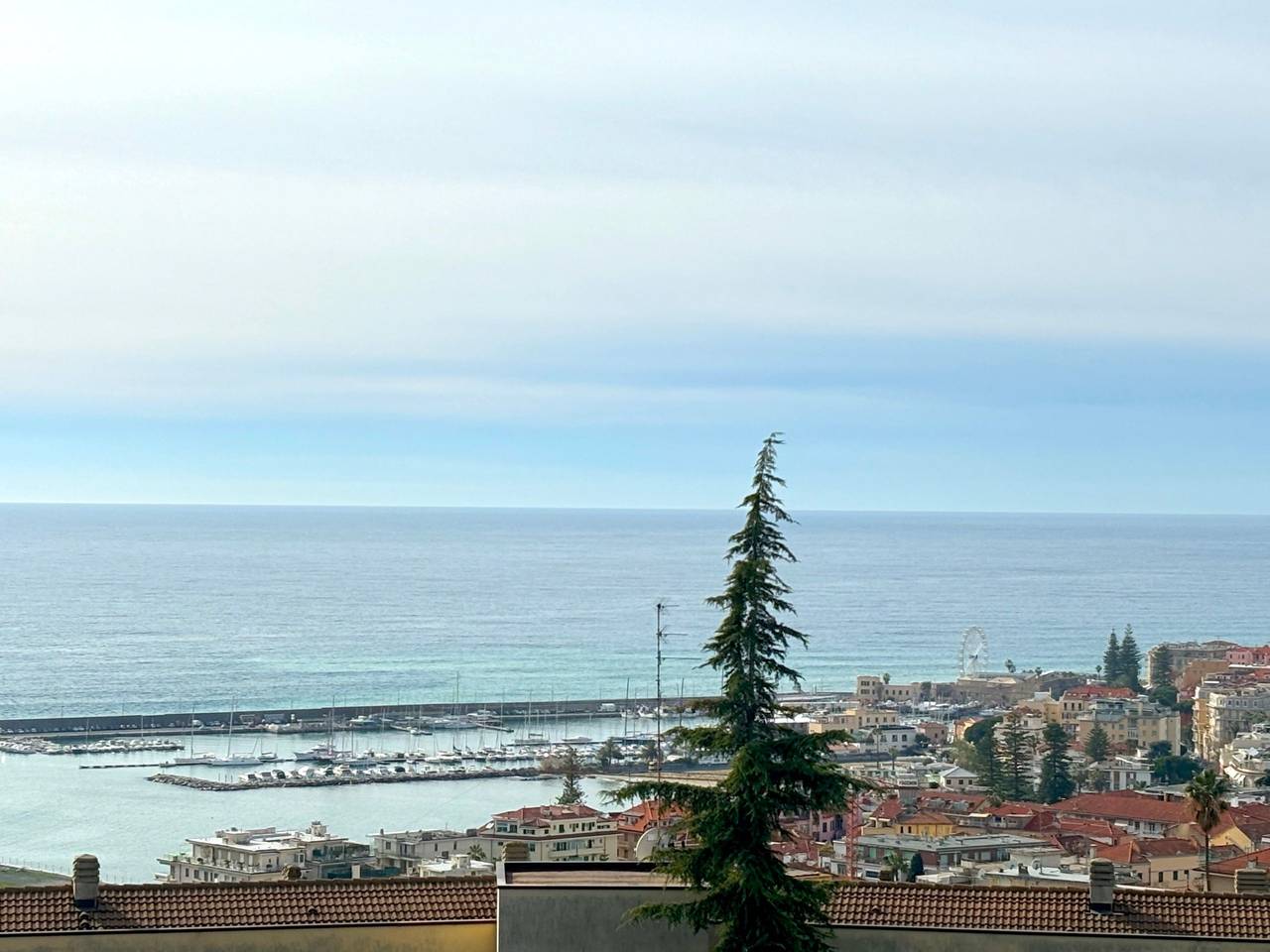 immagine annuncio 4 di 12