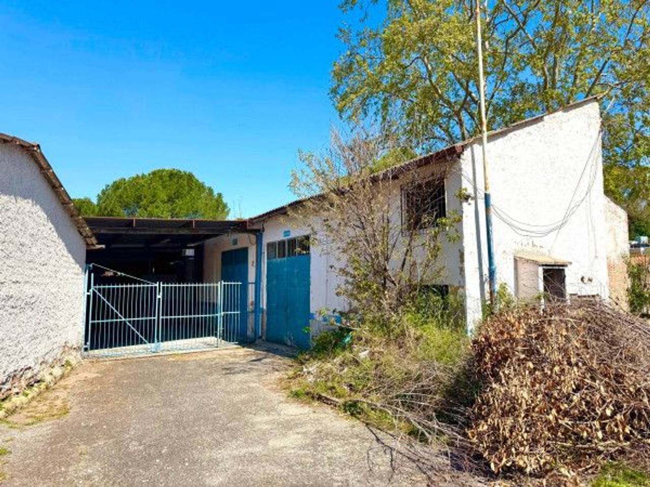 immagine annuncio 4 di 13