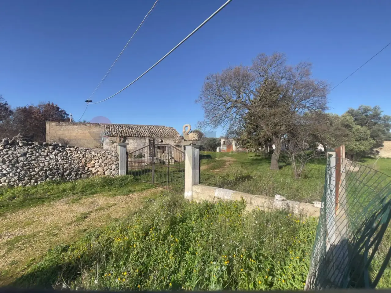 Azienda agricola in , Santeramo In Colle, {3} - Foto 1
