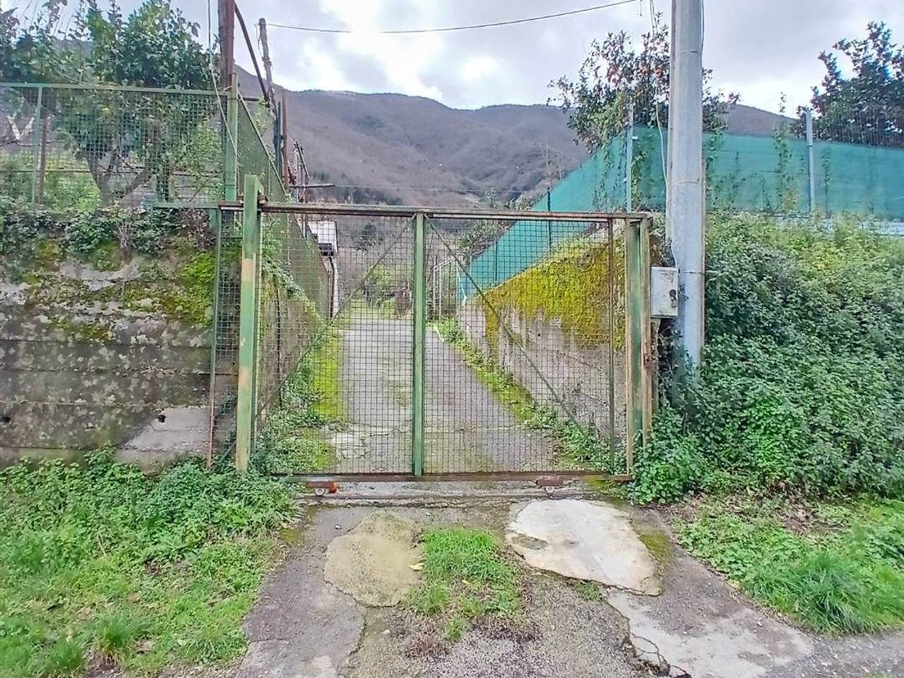 immagine annuncio 5 di 11