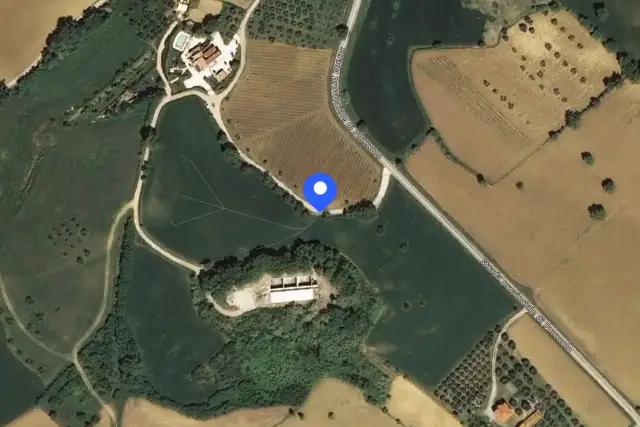 insertion image