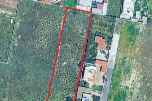 insertion image