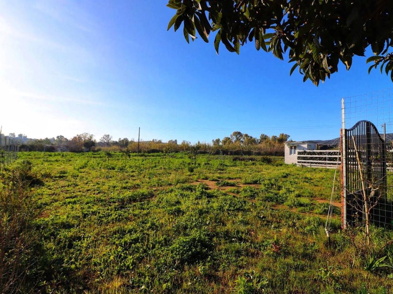 immagine annuncio 5 di 13