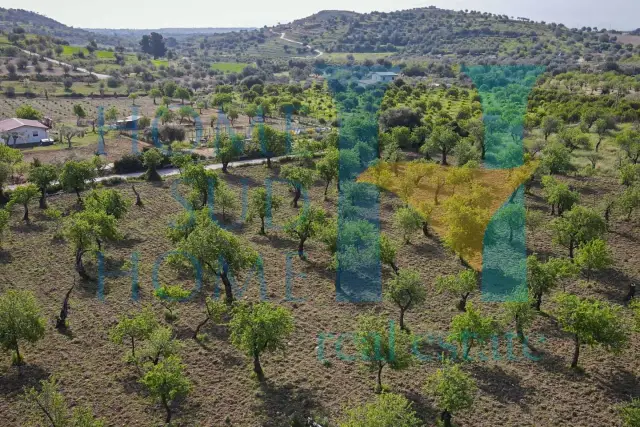 Terreno agricolo in Via Tommaso Fazello 228, Noto - Foto 1