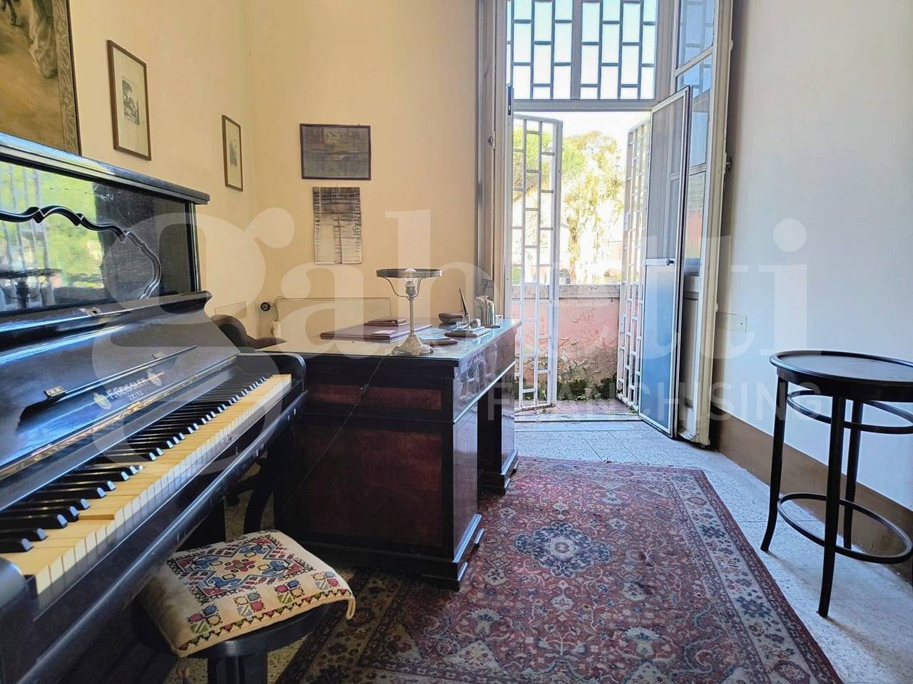 immagine annuncio 12 di 15