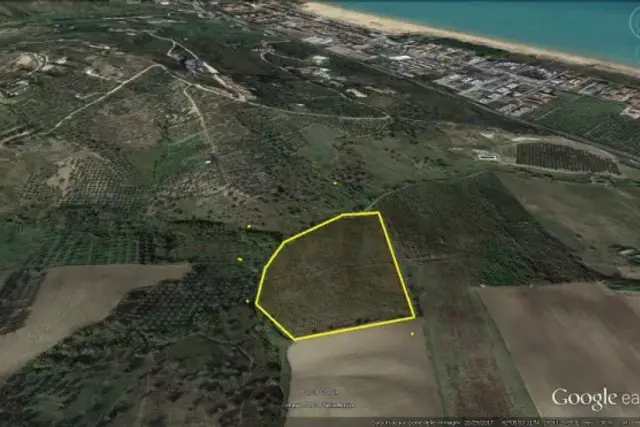 insertion image