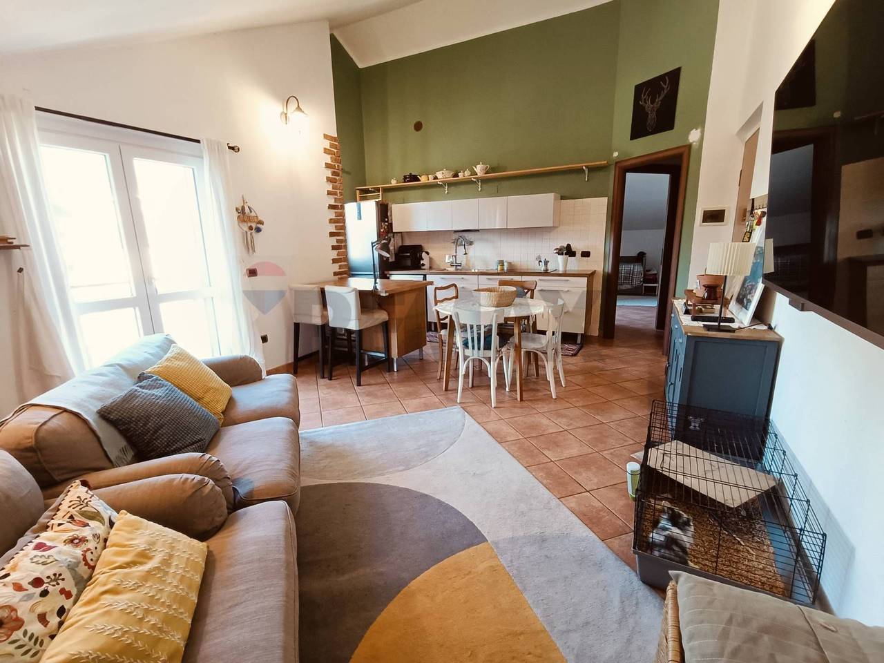 immagine annuncio 6 di 15