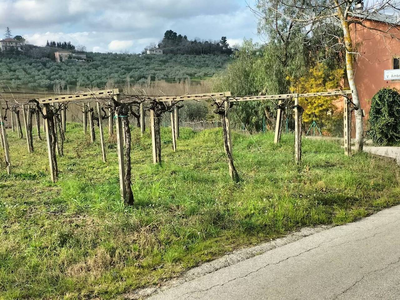 immagine annuncio 3 di 10