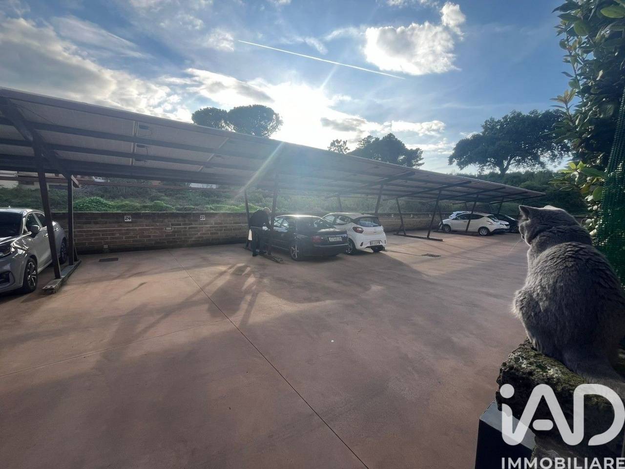 immagine annuncio 1 di 9