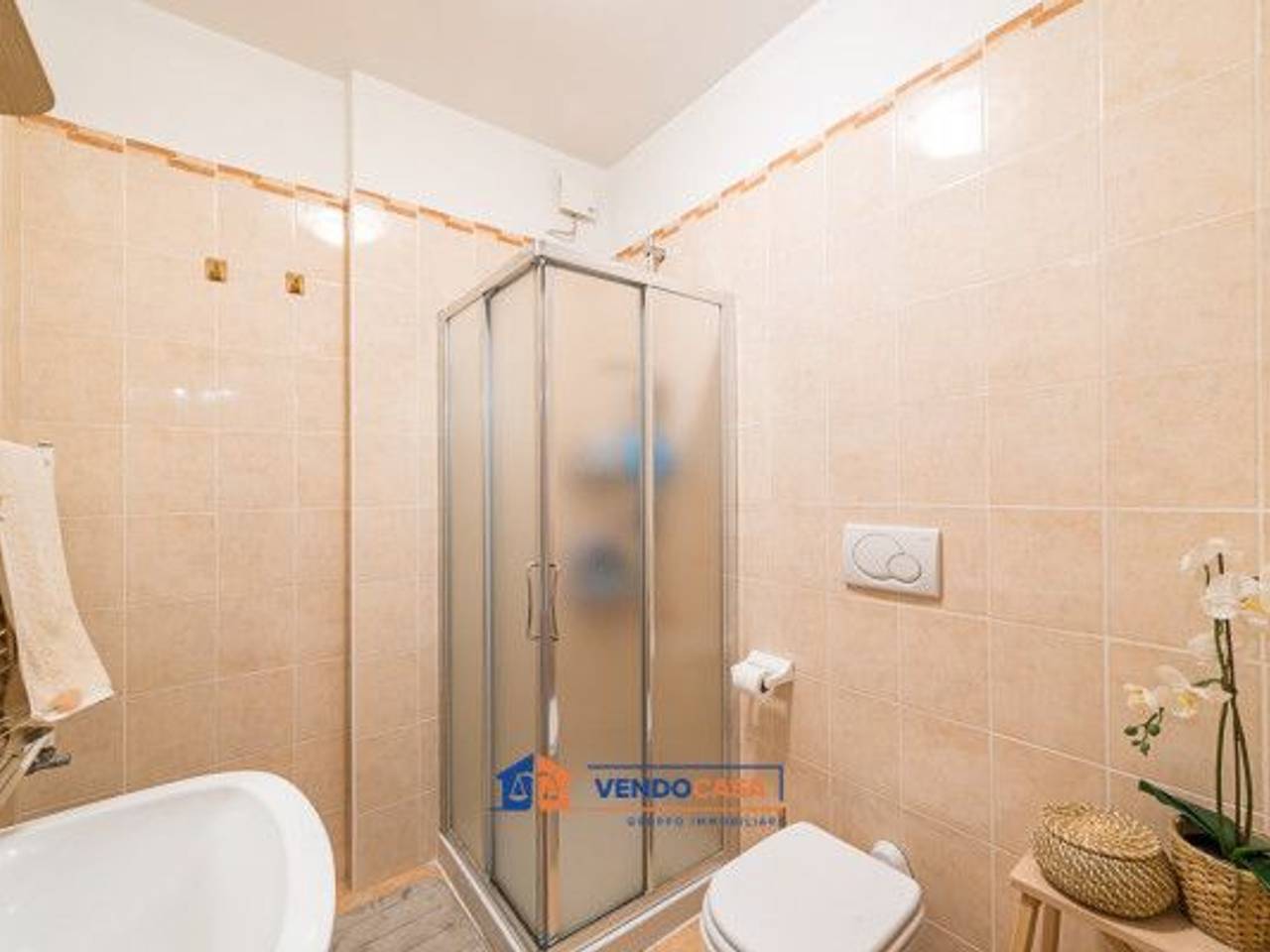 immagine annuncio 6 di 14