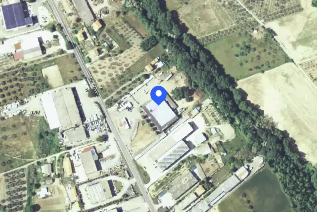 insertion image