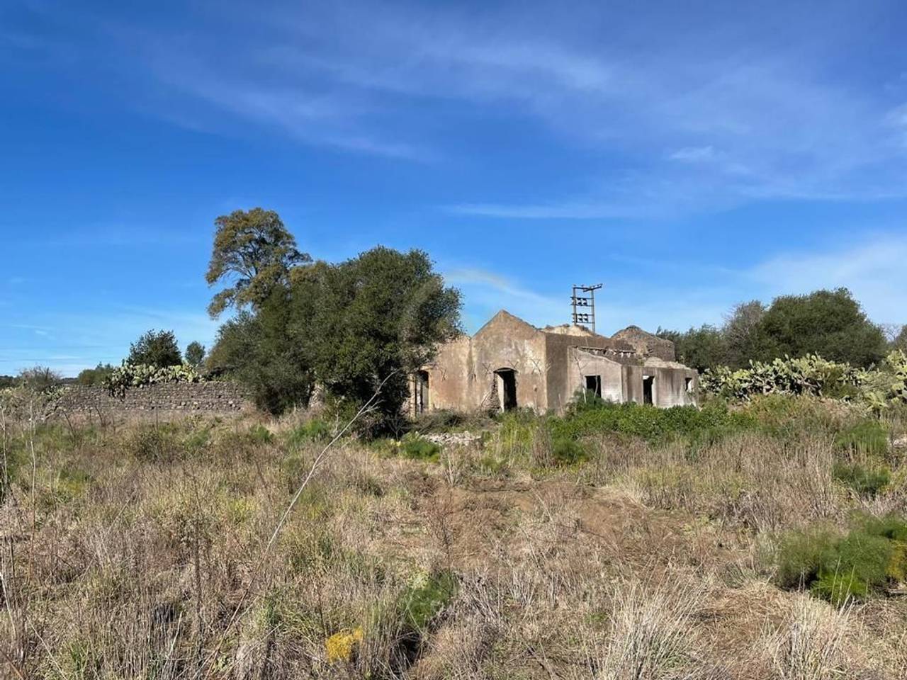 immagine annuncio 1 di 12