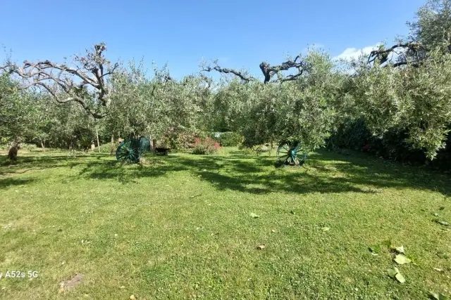 Agricultural land, Livorno - Photo 1