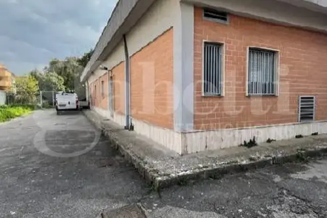 insertion image