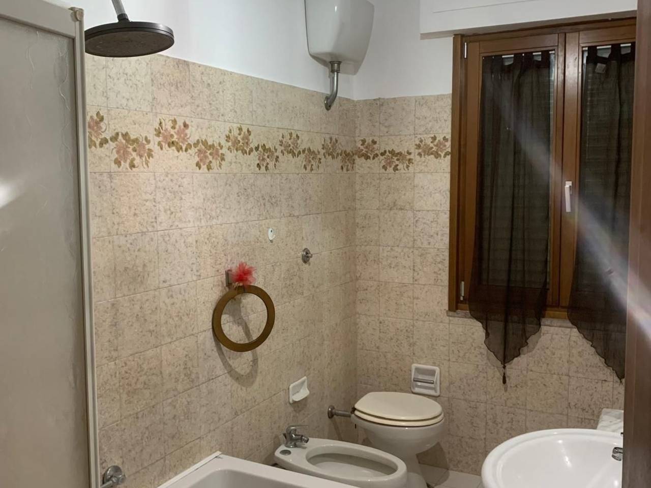 immagine annuncio 5 di 14