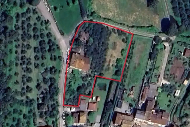 insertion image