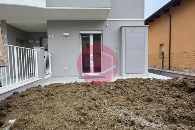 insertion image