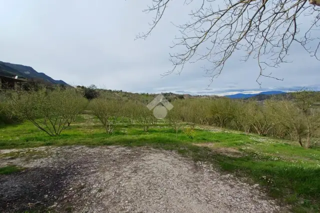 insertion image