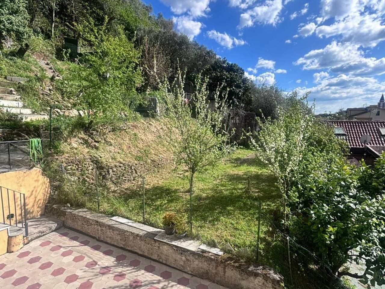 immagine annuncio 1 di 14