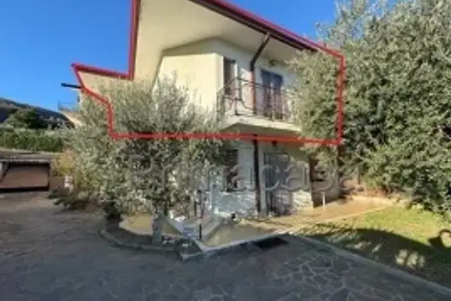 insertion image