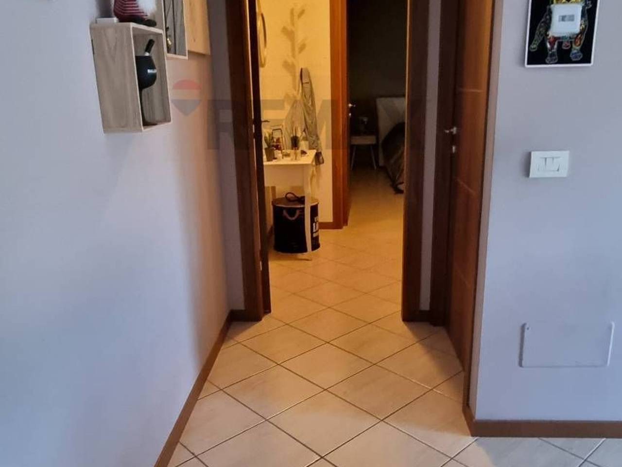 immagine annuncio 5 di 14