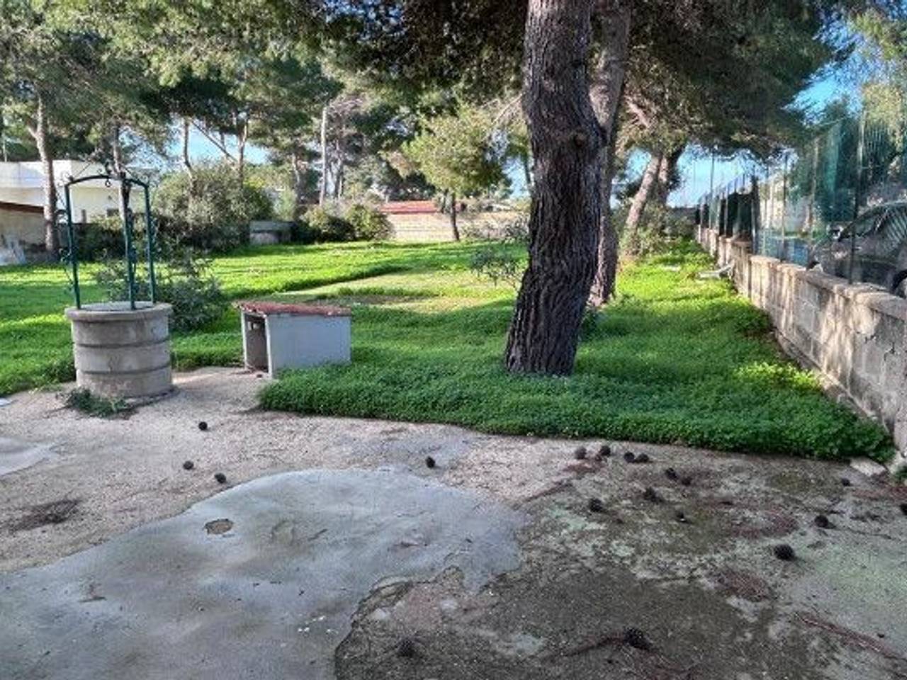 immagine annuncio 12 di 14