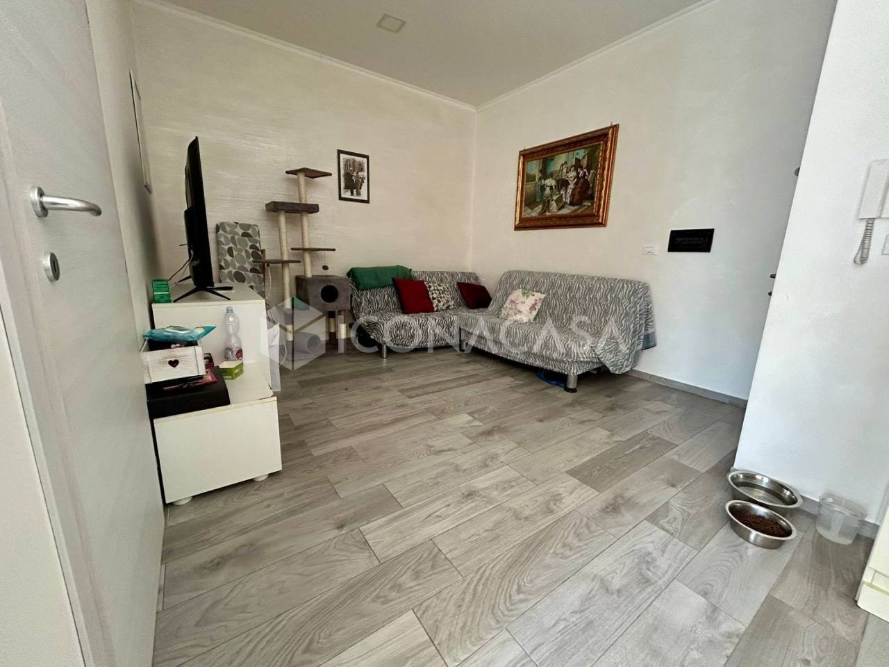 immagine annuncio 2 di 12